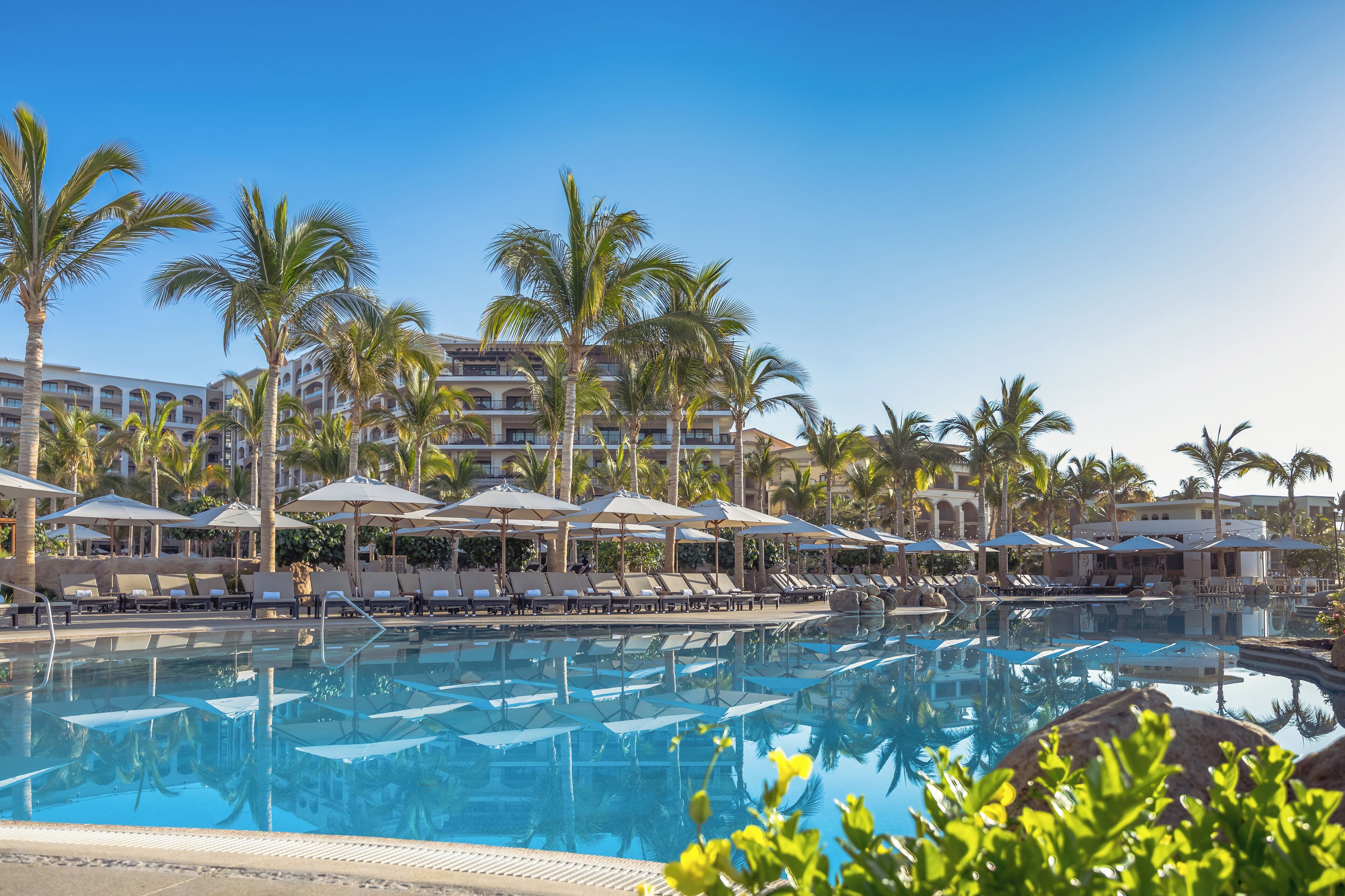 A pool area with lounge chairs and umbrellas, surrounded by palm trees and hotel buildings.