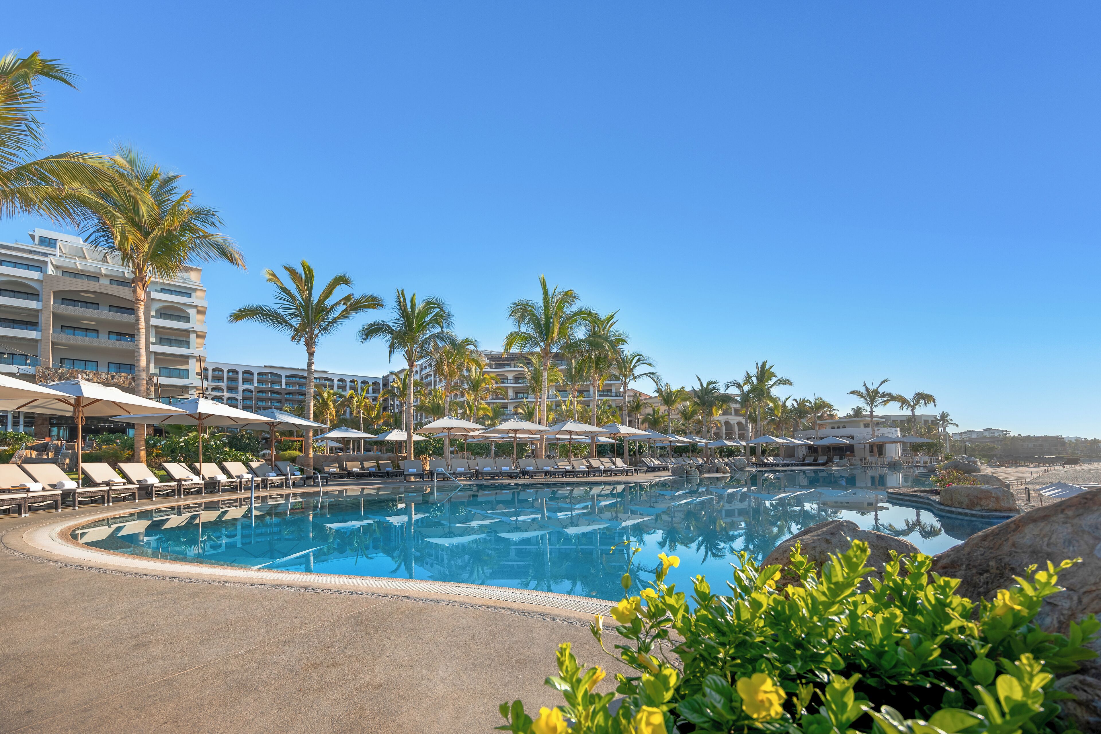 A resort pool with lounge chairs and umbrellas, surrounded by palm trees and hotel buildings.