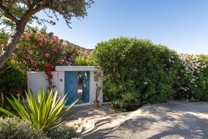 A house with a blue door, surrounded by lush greenery and flowering plants.