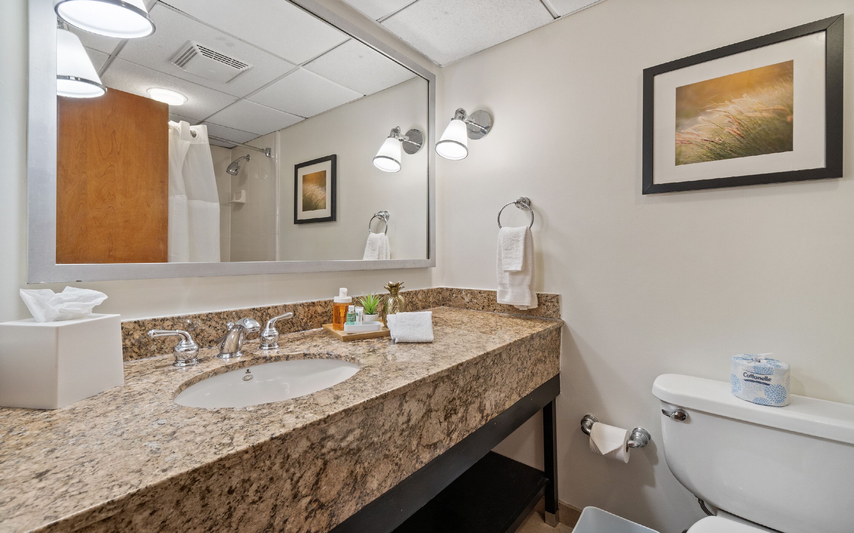 Foto - 315 LoSo Hotel Airport