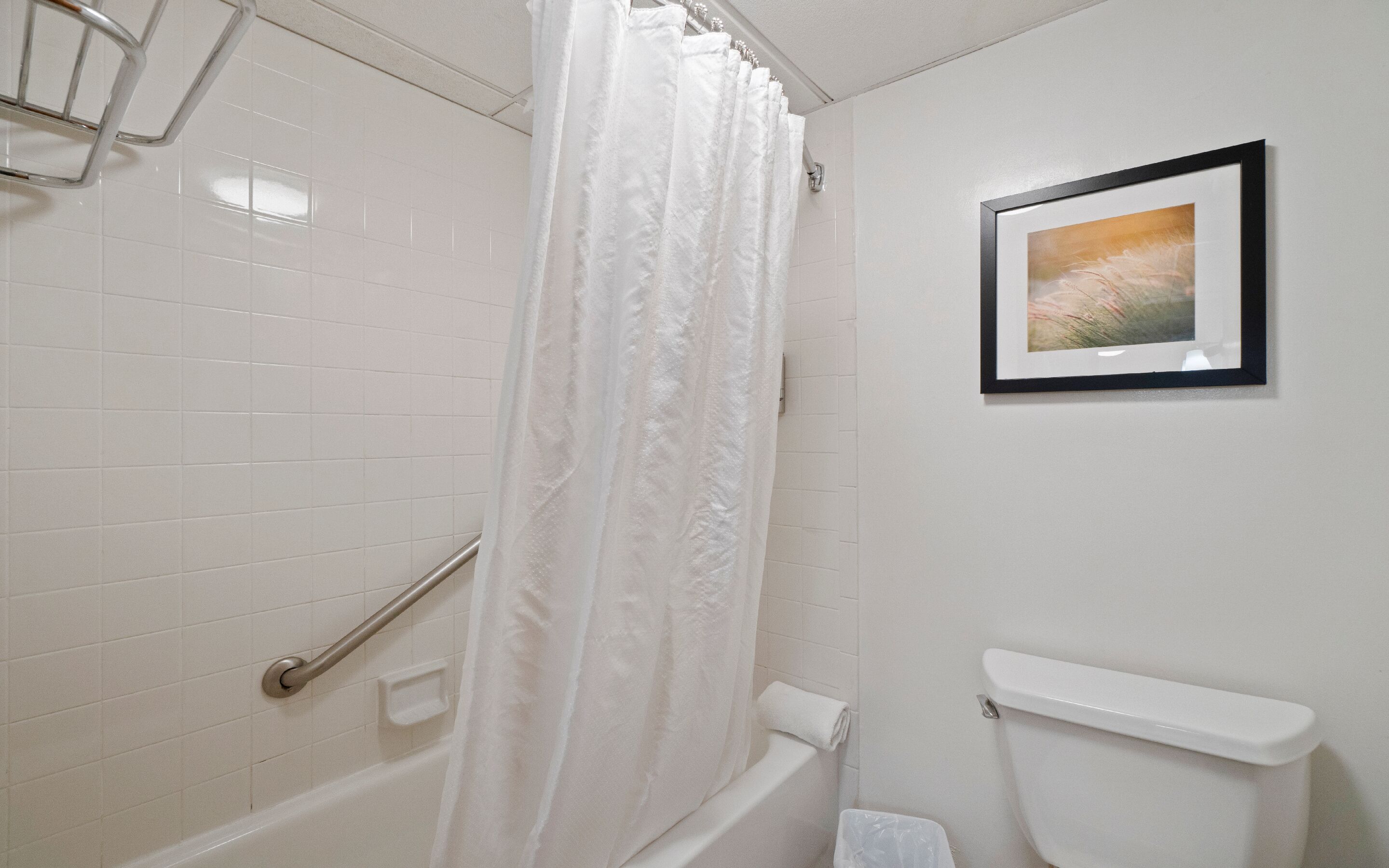 A bathroom with white tiles, a shower curtain, a framed picture on the wall, and a toilet with a white tank.