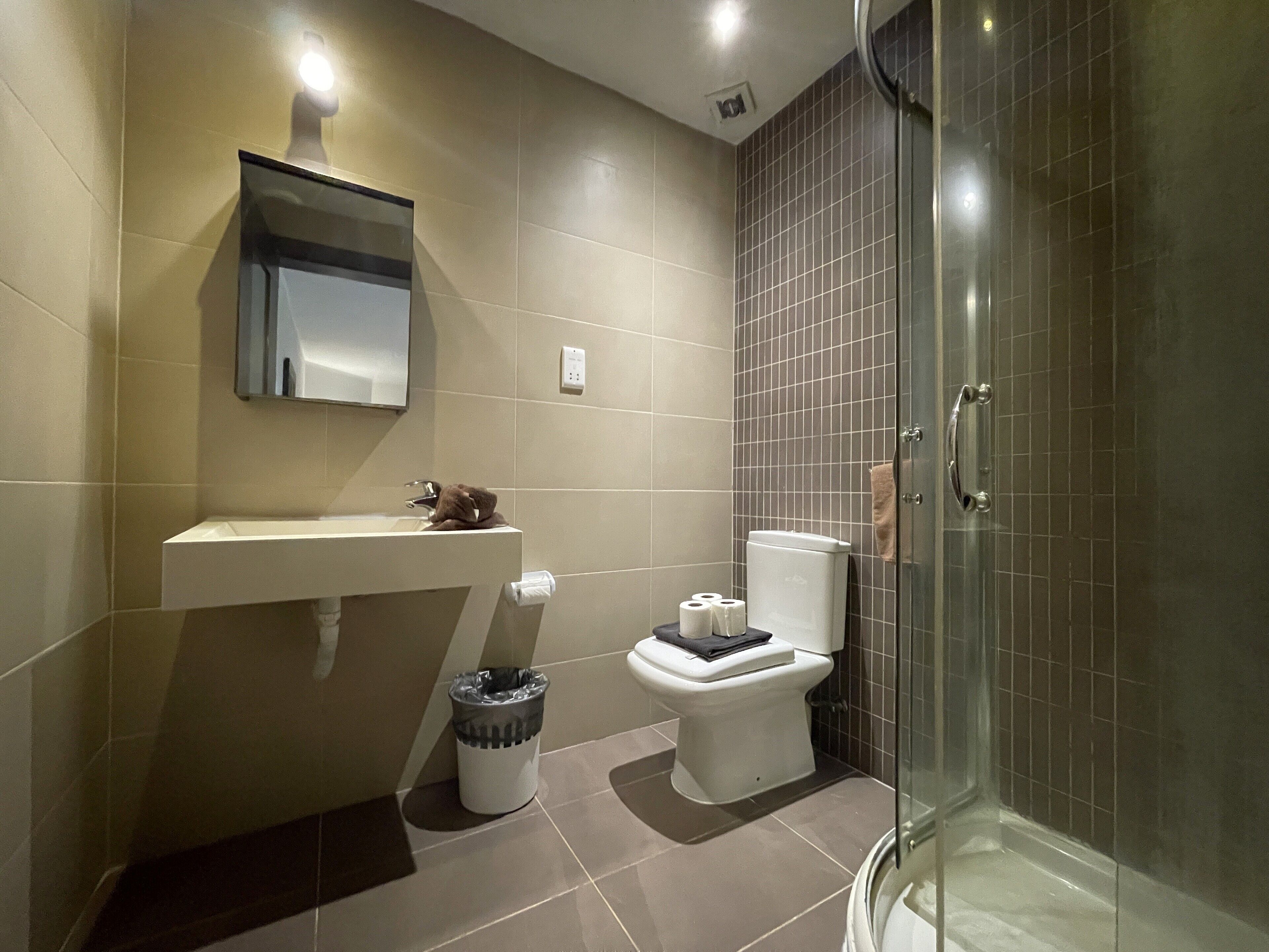 Shower, hair dryer, towels