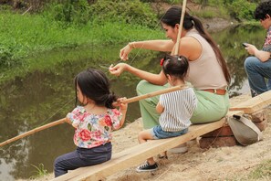 Property grounds - Cocoa and Mango Farm (Naranjal)