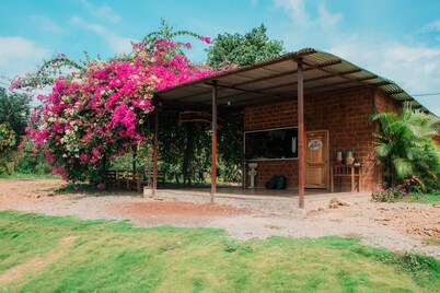 Cocoa and Mango Farm