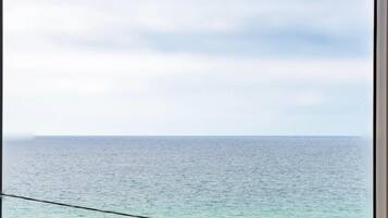 Beach/ocean view