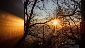 A sunset with the sun partially obscured by tree branches. - Stagiates Guest House Room 3 (Volos)