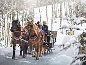 A horse-drawn carriage in a snowy forest. - Hilltop Apartment in Viehhofen With hot tub (Viehhofen)