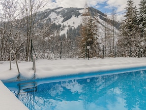 A swimming pool with snow-covered trees and mountains in the background. - Hilltop Apartment in Viehhofen With hot tub (Viehhofen)