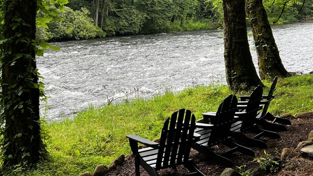 Een rivier met uitzicht op het omliggende bos.
