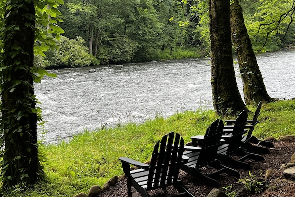 View of the Nantahala Forrest.