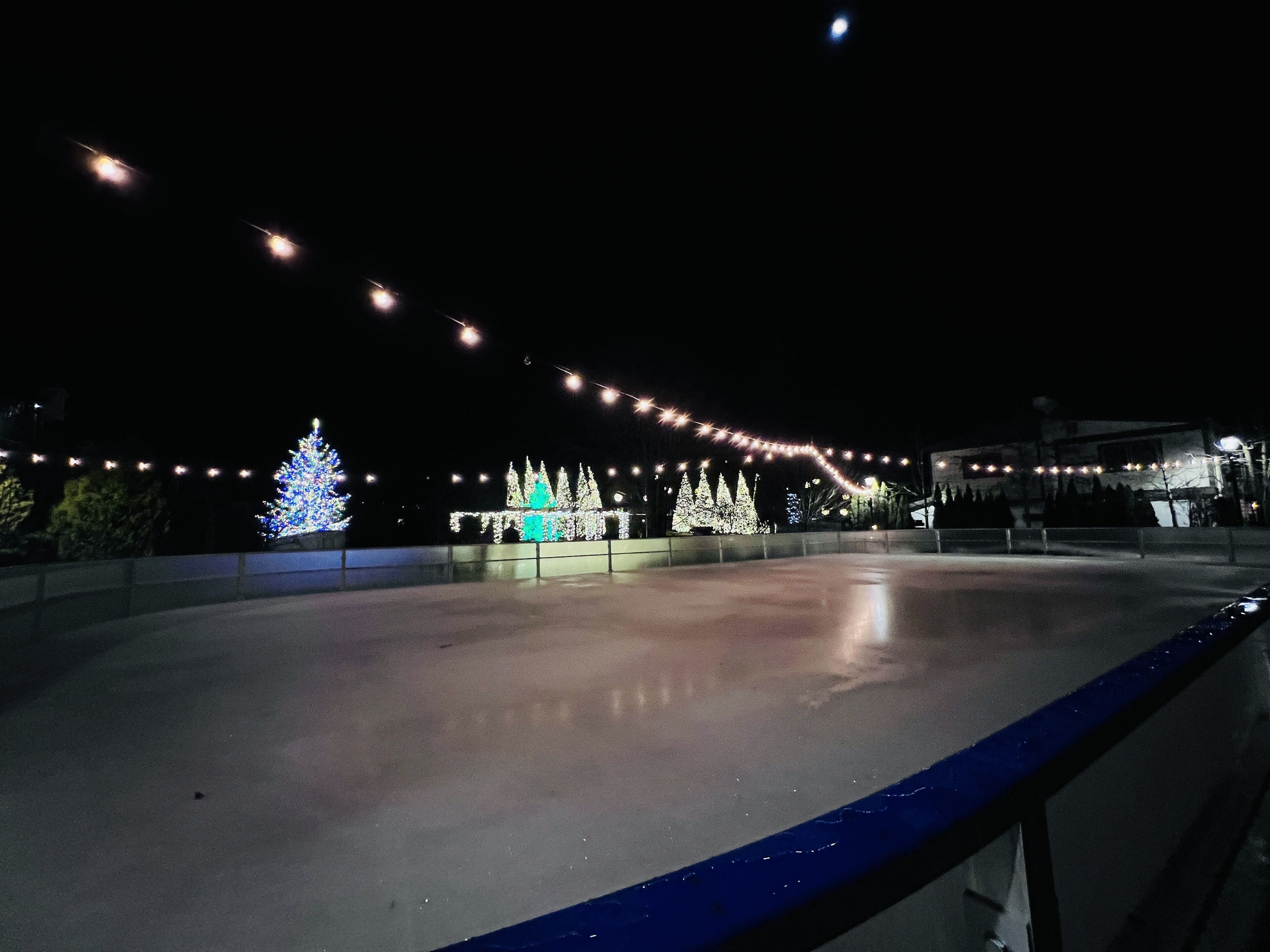 A nighttime view of a plaza with illuminated Christmas trees and string lights.