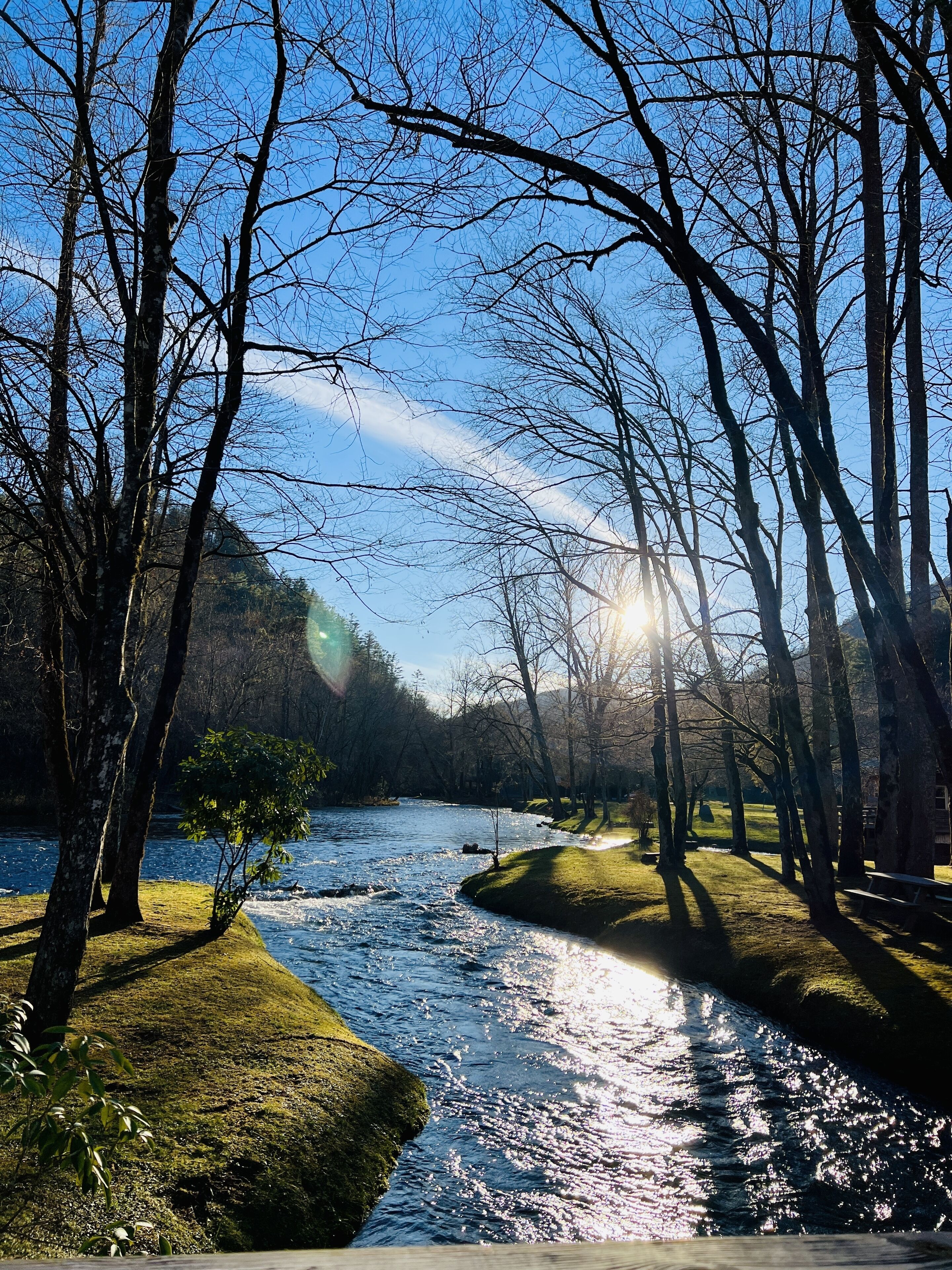Une rivière traverse un parc où se trouvent des arbres et un banc.