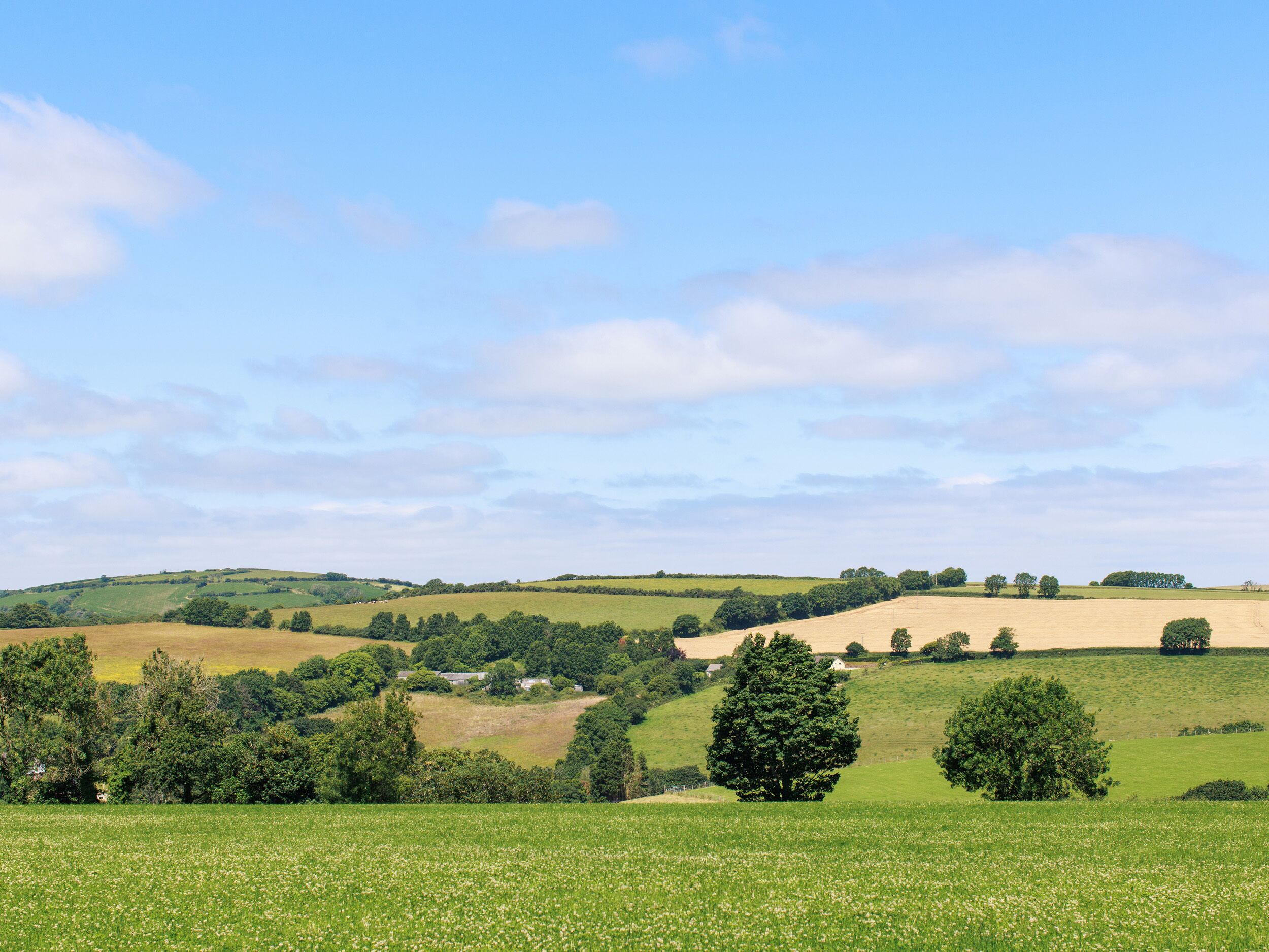A rural landscape with rolling hills, fields, and scattered trees.