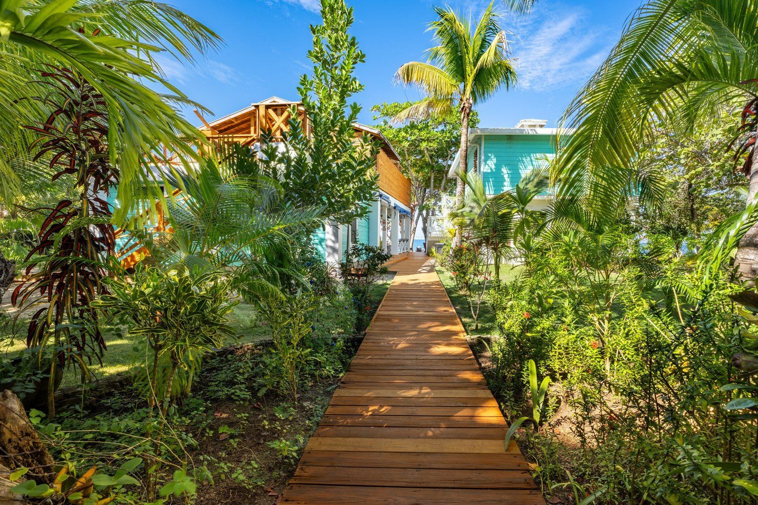 Un sendero de madera que conduce a un edificio rodeado de exuberante vegetación tropical.