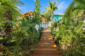 Un sendero de madera que conduce a un edificio rodeado de exuberante vegetación tropical.
