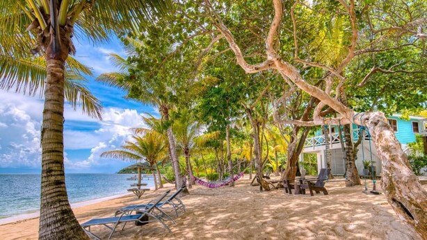 A beach with palm trees, a hammock, and lounge chairs. - CAMP BAY LODGE (Roatan)