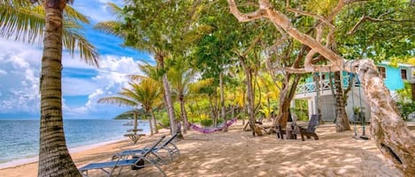 On the beach, white sand, scuba diving, beach bar