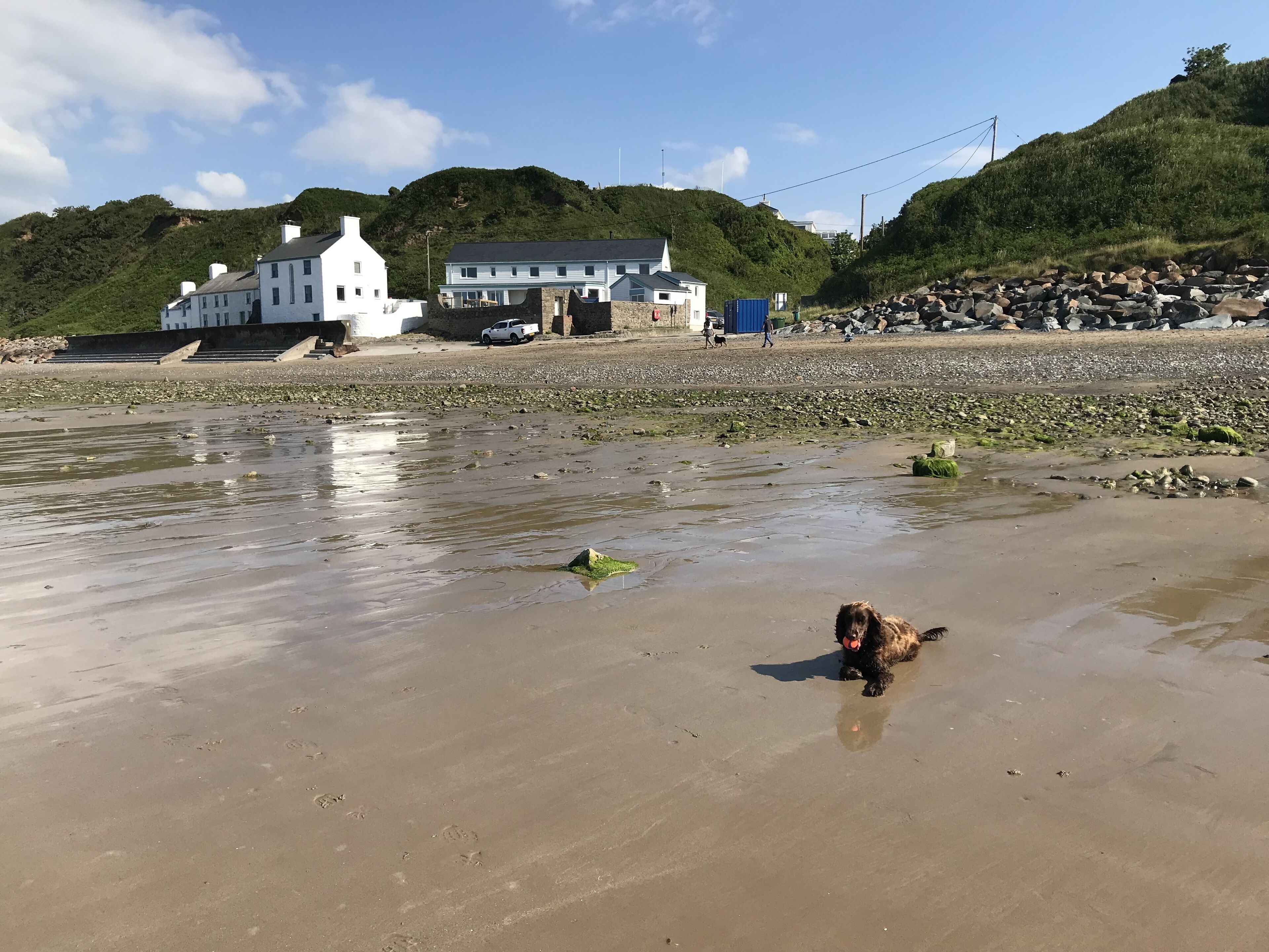 A beach with a dog playing in the sand, a white building, and a rocky hillside in the background.