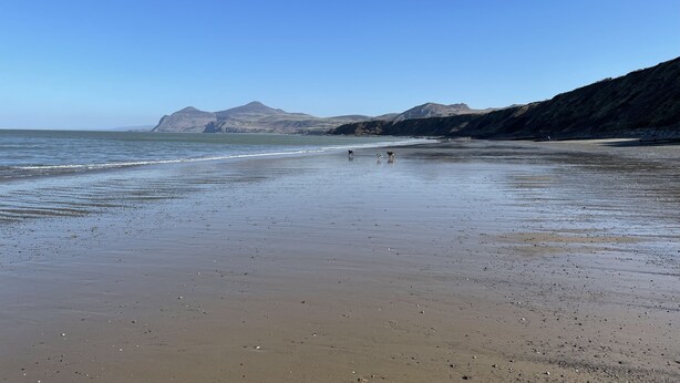 Ein Strand mit blauem Himmel, ruhiger See und fernen Bergen.