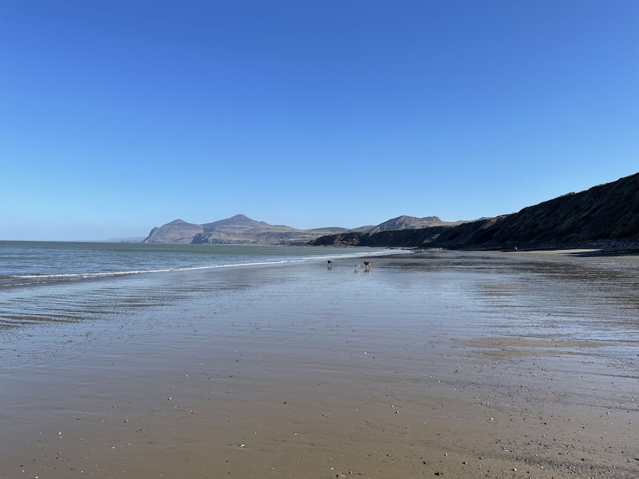 Plage à proximité, bar de plage
