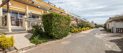 A paved street lined with buildings, a hedge, and some plants.