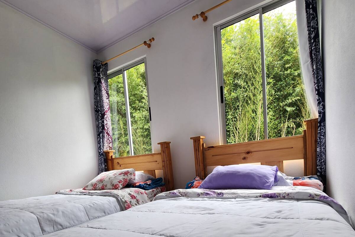 A bedroom with two beds, large windows, and a view of greenery outside.