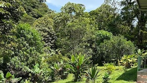 Pemandangan dari properti