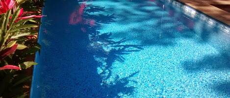室外游泳池