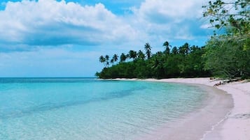 Nära stranden