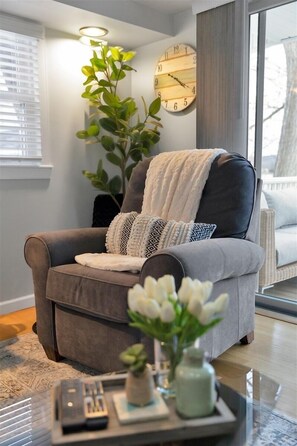 Smart TV, lareira, livros, aparelho de som