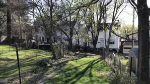 A residential backyard with a lawn, a pathway, and a small garden bed. - Eclectic Historic Sunny Vista Home with City Views, Northshore (Pittsburgh)