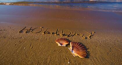 Ferienwohnung in Lopar mit Meerblick, Terrasse, W-LAN, Waschmaschine (593-4)