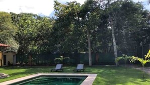 Una piscina rectangular con borde empedrado, rodeada por un césped cuidado y varios árboles.