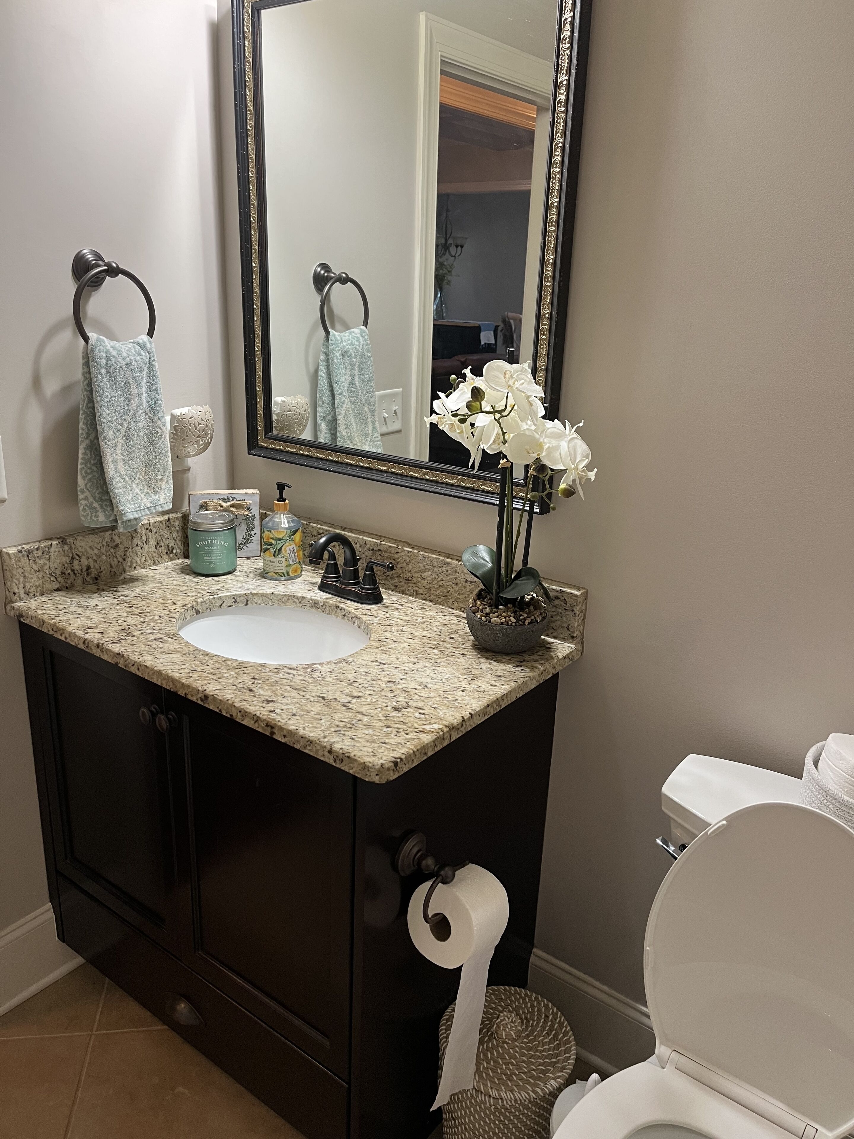 A bathroom with a granite countertop sink, dark cabinetry, a mirror, a toilet, and a small potted plant.