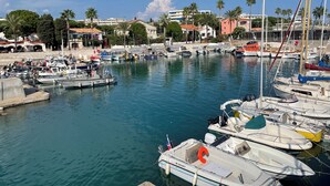 Un puerto deportivo con varias embarcaciones amarradas, rodeado de edificios y palmeras.