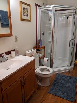 Dusche, Haartrockner, Handtücher, Seife