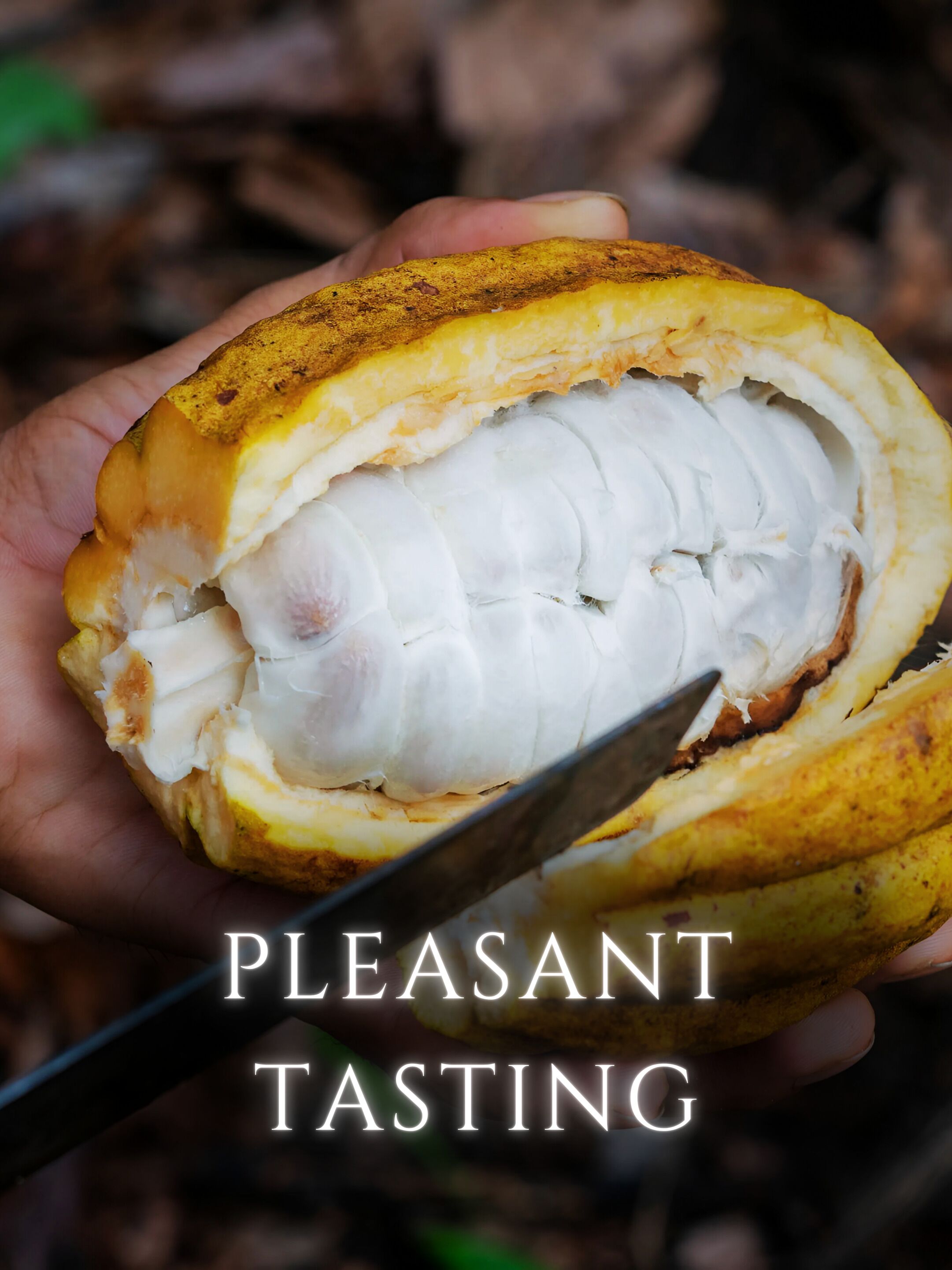 A person holding a half-cut fruit with a knife, displaying its white interior.