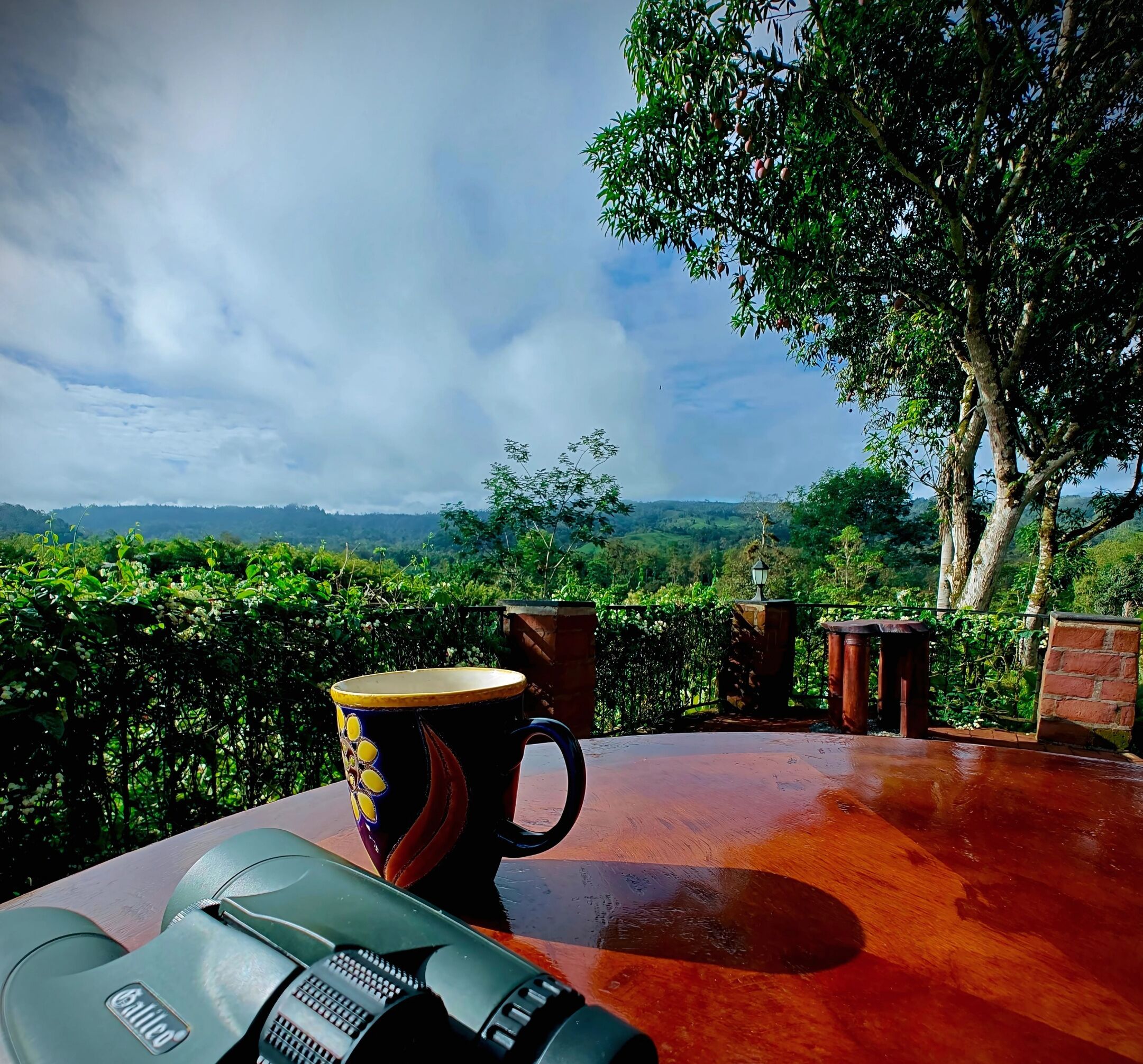 A table with a mug and a camera, overlooking a lush landscape with trees and a distant view.