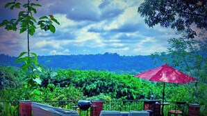 Balcony view - The River House (Puerto Quito)