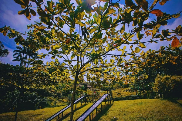 Außen-Kinderspielplatz