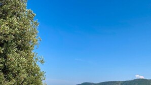 A stone infinity pool with a stone structure in the center, surrounded by greenery and a clear blue sky.