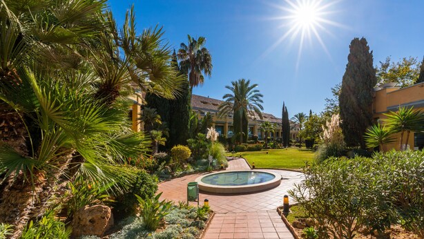 Un jardín bien cuidado con un elemento acuático circular, palmeras y un camino que lleva a un edificio.