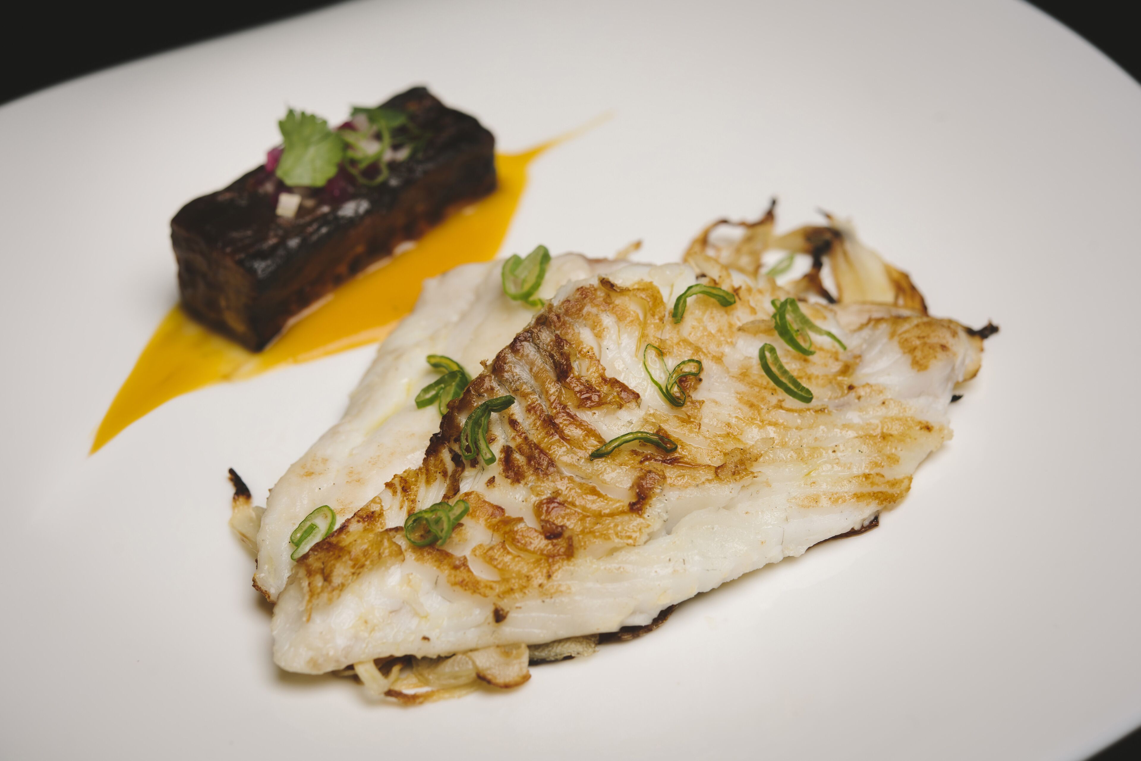 A white plate with a piece of grilled fish topped with green onions and a dark, possibly seared, piece of meat with a yellow sauce.