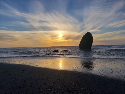 Comfy Spacious Home, Minutes to Beaches, King Bed, Sleeps 9, WiFi, Dog friendly 