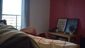 A bedroom with a bed, a window with curtains, a bedside table with a plant, and a red wall. - Cozy Dublin City Apt near Guinness Storehouse and Temple Bar (Dublin)