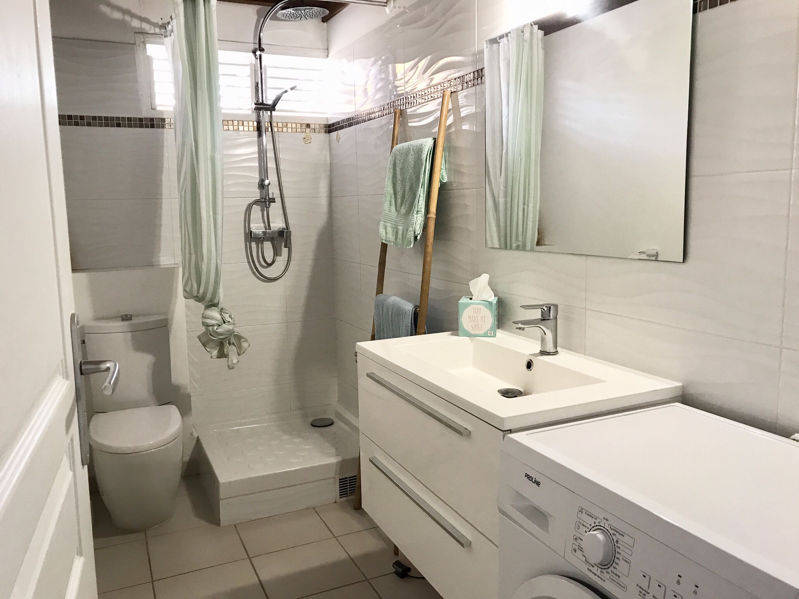 Shower, towels, toilet paper