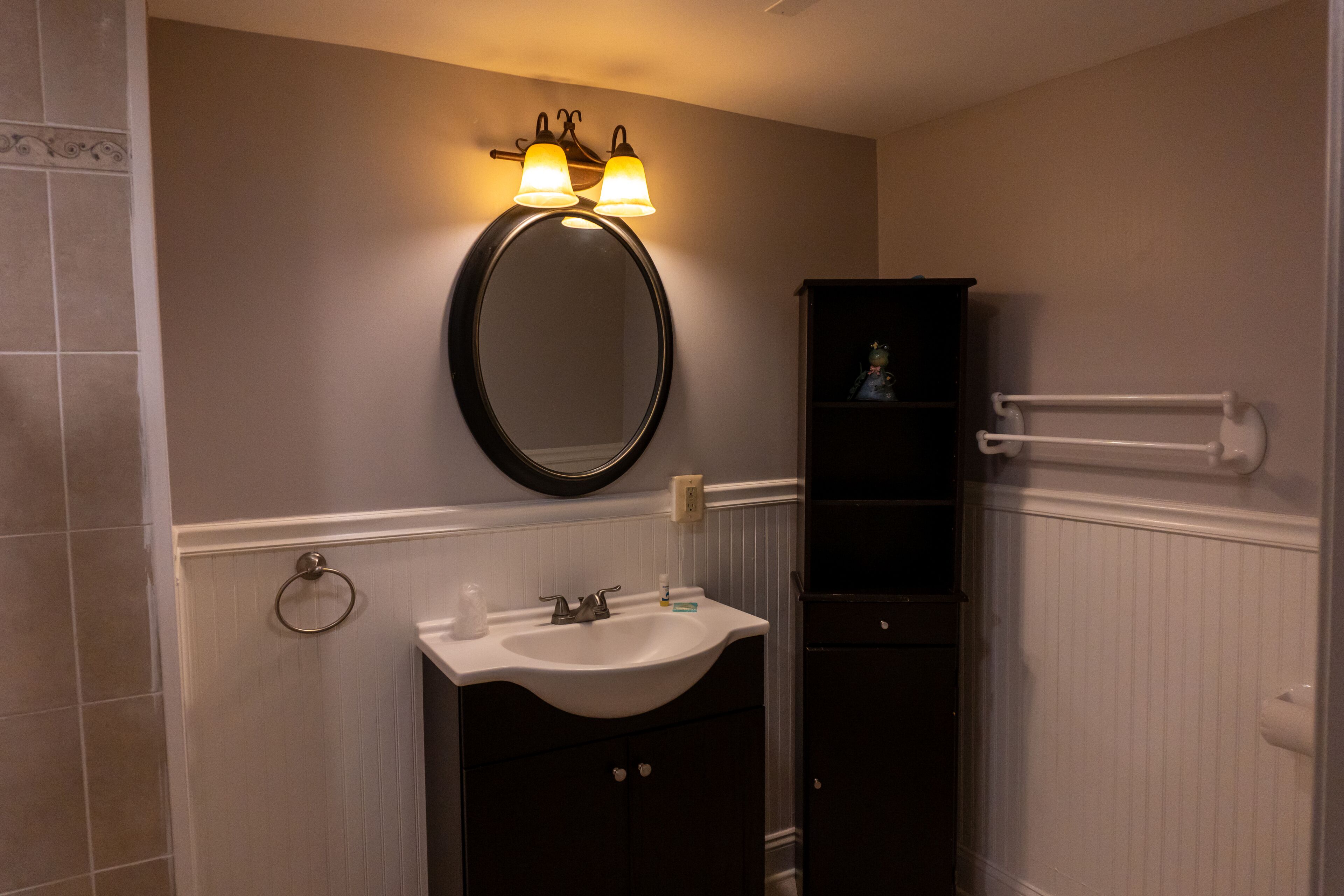 A bathroom with a white sink, a mirror with two lights, a towel rack, and a dark wooden cabinet.