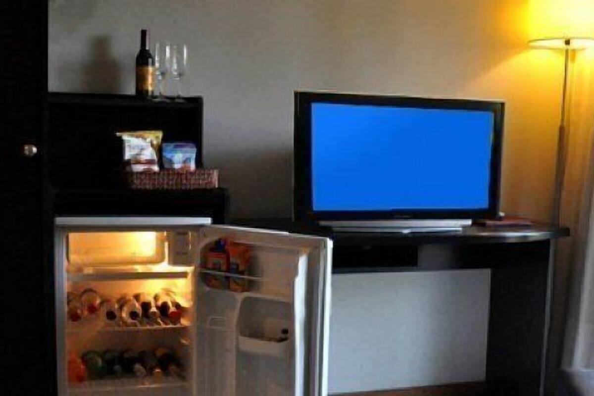A hotel room with a television on a stand, a refrigerator with food items, and a view of trees through the window.