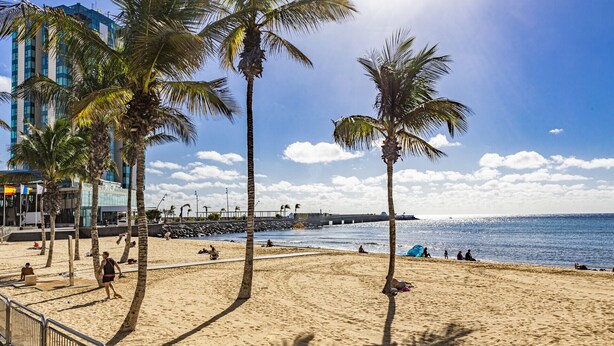 Una playa con palmeras, un muelle y una orilla arenosa.