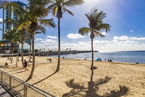 Una spiaggia con palme, un molo e una riva sabbiosa.